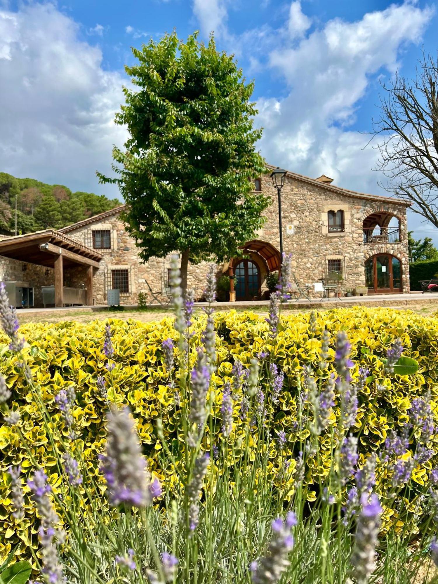 Gasthaus Mas Segart Santa María de Palautordera Exterior foto